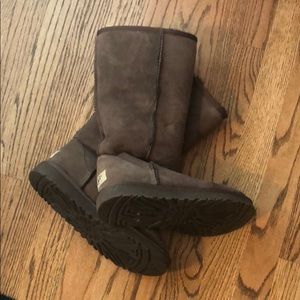 Tall Chocolate Uggs